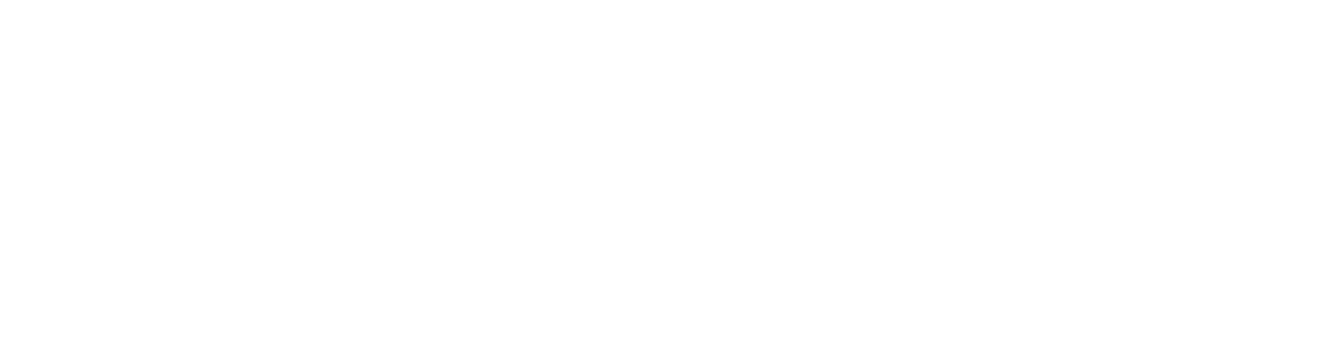 Logo weiss
